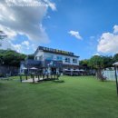 코코애견 이미지