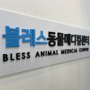 동백동물병원 이미지