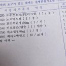 수완초교 | 24.05.06~12 배야 아프지망고