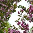 초막골생태공원(폭포화장실) 이미지