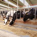 방화이화유치원 이미지