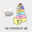쿼카Glen