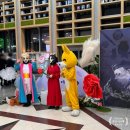 뮤지컬 생텍쥐페리 | 해남 문화 예술 회관 창작 뮤지컬 생텍쥐페리 내돈내산 관람 후기