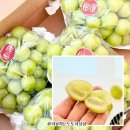 개골농장 | 제철 달콤함 가득 담은 추풍령썬샤인포도 샤인머스캣 3kg 추석 선물용 고당도 씨없는포도 추천드려요