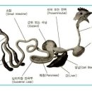 양계법(1,2,3) 이미지