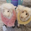 쓰리빠 이미지