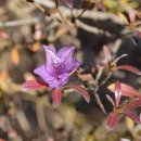 서라벌문화회관 전시실 이미지