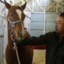 유정목장 이미지