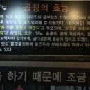 먹골문현연탄곱창 이미지
