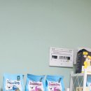 살구펫 네이버블로그