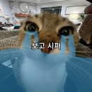 애매한 6월아 썩 꺼지렴
