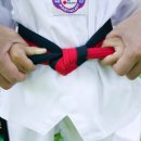 수림효태권도장 이미지