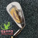 아이언 플렉스(IRON FLEX) 네이버블로그