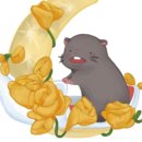 달빛 햄스터리 이미지