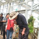 그린꽃식물원 이미지