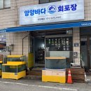 회포장바다횟집 | 양양 횟집 양양 회포장 전문점 양양바다 방문 후기