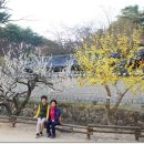 선비뜨락 이미지