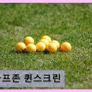 퀸스크린 - 달서구 갈밭로 16 | 퀸스크린
