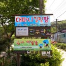 대파니 힐링팜 이미지