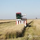 대순농장 이미지