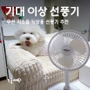 픽템 | 무선 저소음 탁상용 선풍기 추천, 기대 이상 픽템 고요2