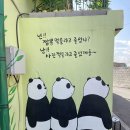 선미식당 이미지