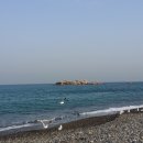 감포시장 이미지