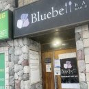 블루벨여행사 | 캐나다 옐로나이프 신혼여행 3일차 🇨🇦 | 오로라뷰잉 2일차 성공 | 옐로나이프 1등 맛집 블루벨 기념품샵