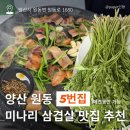 대천항 제2공중화장실 | 원동 미나리 삼겹살 맛집, 원동 5번집 내돈내산 솔직 후기(애견 동반 가능, 미나리 가격, 화장실 정보)