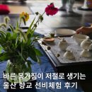 다도예절 | 다도와 선비체험, 바른 몸가짐이 저절로 생기는 울산 향교 방문 후기