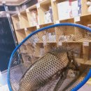 해적낚시까페 이미지