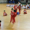 화랑체육관(태권도) 이미지