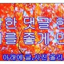 철도노조의 문제요약 이미지