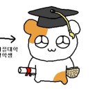 와플대학창원용호캠퍼스