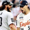 라이언 메디칼 이미지