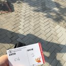 9천원에 야외페스티벌 한강 무소음 DJ파티 후기 🎧