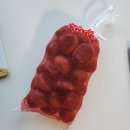 오봉산유아숲체험원 이미지