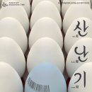 소극장 둥지 이미지