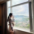 로텔 | 전주 한옥마을 아기랑 숙소 : 라한호텔 한옥뷰 패밀리트윈, 아기용품 대여, 하녹당, 수영장