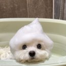 동안스킨케어
