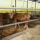 봉산리 경로당 이미지