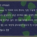 빼돌린레이스
