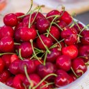 멍청이농장 이미지