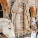 장수목장2 이미지