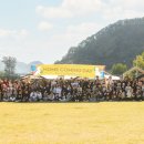 토이 켄넬 이미지