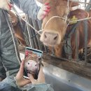 (주)아이랩 이미지