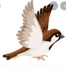 잉글리시아이현암초 | 죽전동초등영어학원 영어보컬트레이닝 학부모 설명회 리얼 후기
