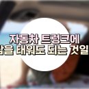 사람과 자동차 이미지