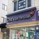 올리스 펫 쌀롱 이미지