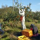 영복농장 이미지